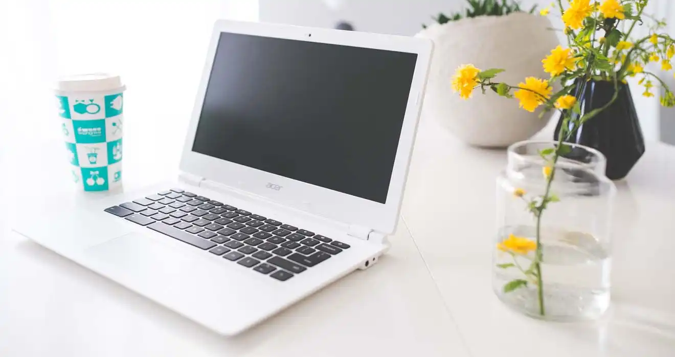 Ремонт ноутбуков Acer в Богородске